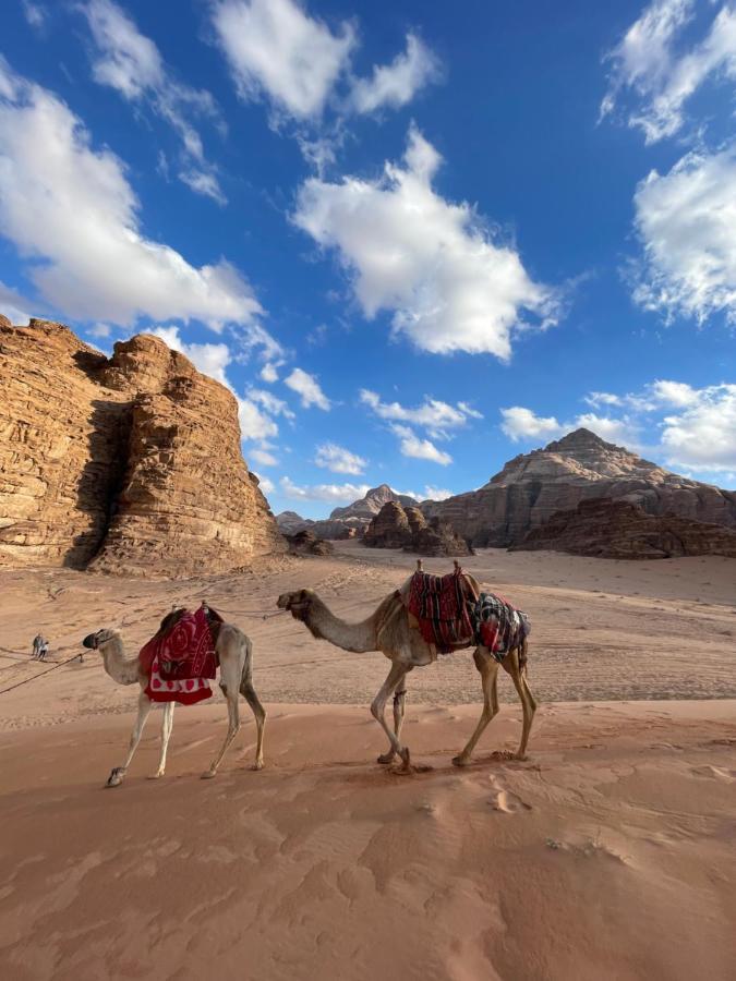 Desert Jewel Camp Wadi Rum Eksteriør billede